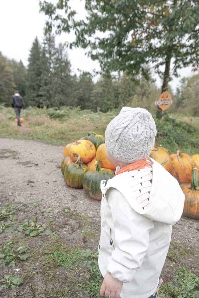 Signed Samantha's October Q&A she is thankful for her daughter, pictured facing away from the camera, and her husband, pictured further in the background facing away from the camera.