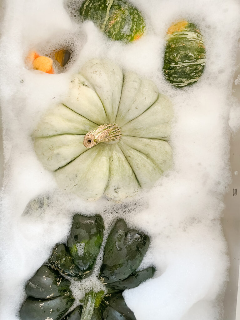 pumpkins in a bubble bath