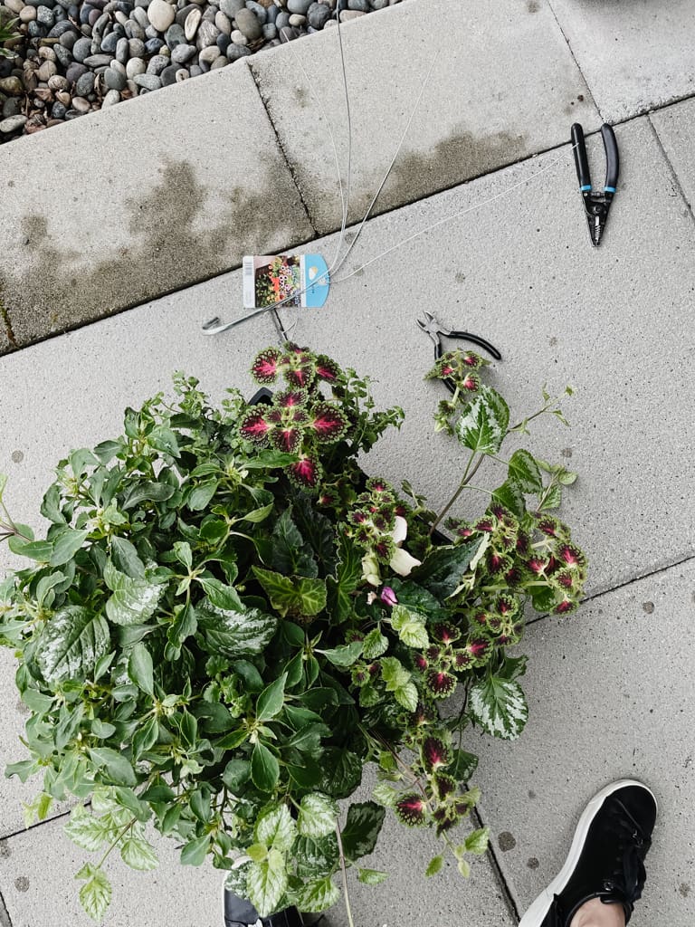 a planter basket on the ground with the hanging metal part removed.