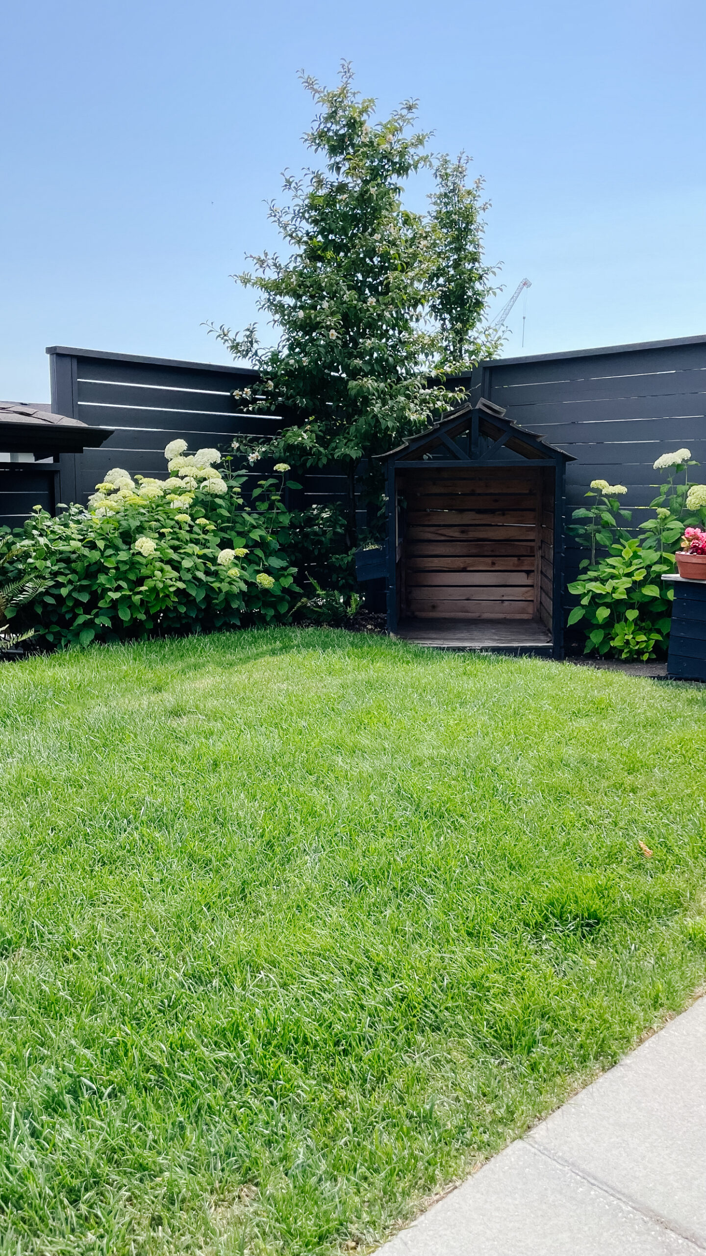 Backyard patio space with a play house and hydragenas around.